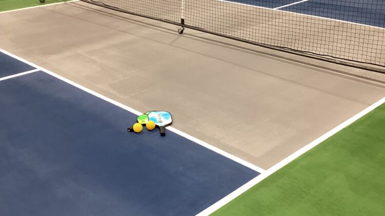 New Pickleball Courts at Mylan Park
