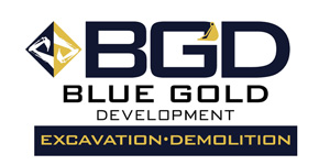 blue-gold-300